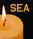 Spiritual Enlightment Alliance